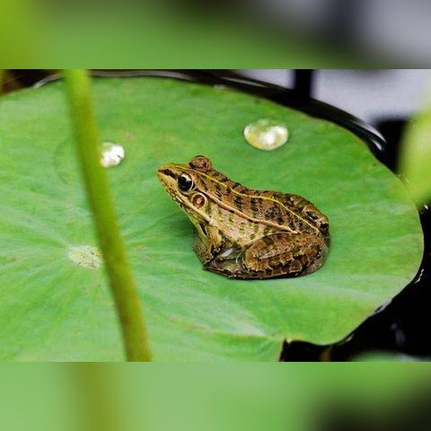 这一周的天气预报，晴雨之间，藏着生活该有的节奏