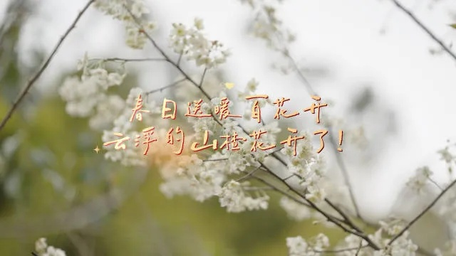 最新天气，春日的无常与馈赠