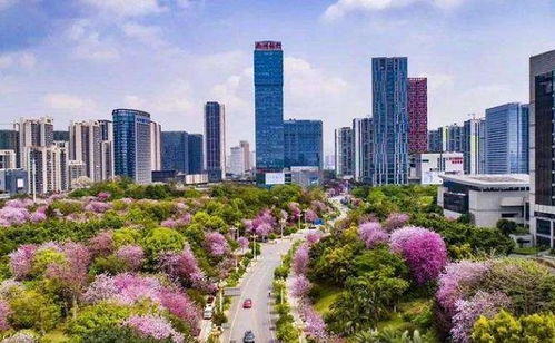 德阳天气，一座工业城市的四季呼吸