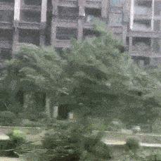 广东天气预报15天查询最新消息,未来天气趋势与出行指南 广东天气预报15天查询最新消息,未来天气趋势与出行指南