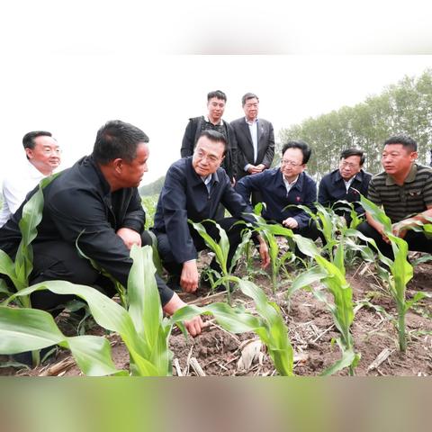 松原未来15天天气预报，提前规划，从容应对天气变化