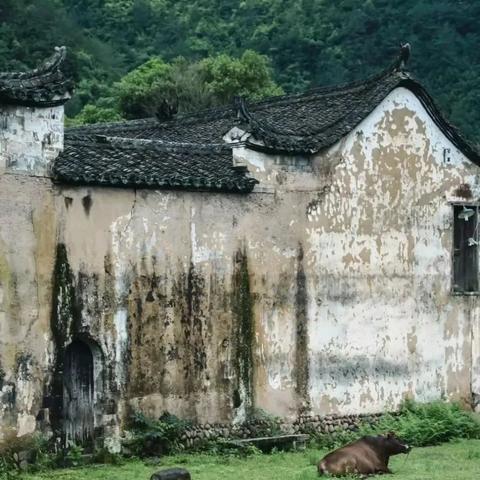 独山天气预报，山城气象的温柔与刚烈