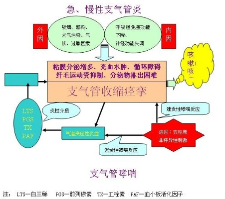 哮喘病怎样治除根？科学管理是关键✅77966摇钱树苹果版下载