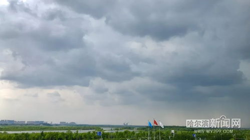 沙坪坝的雨，天气预报的云