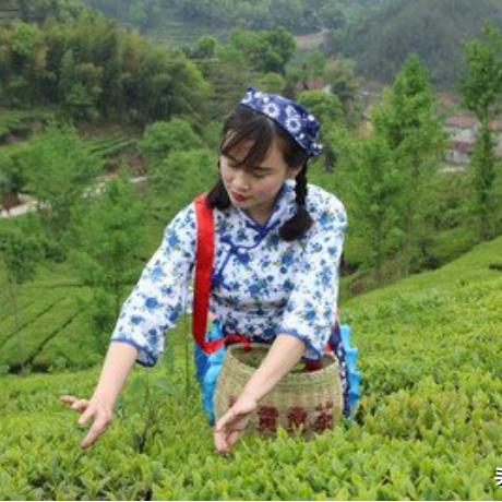霍山天气预报，云雾山城里的晴雨密码
