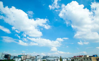 贵州11月天气探秘，寒意渐起，秋意正浓