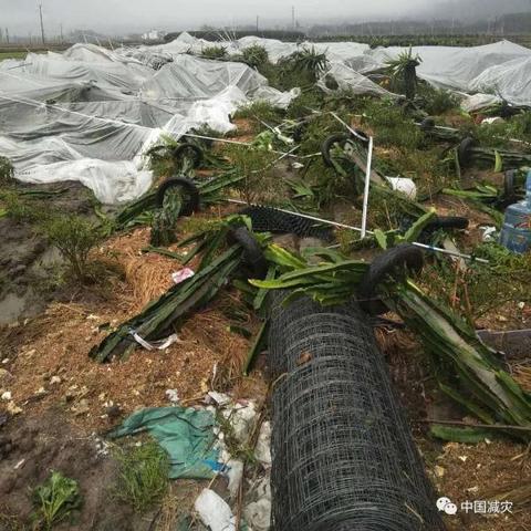 湖南新化天气预报，精准掌握天气变化，出行生活更从容