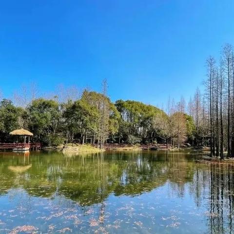 上海天气的时间陷阱，从15天到40天，我们到底在查什么？