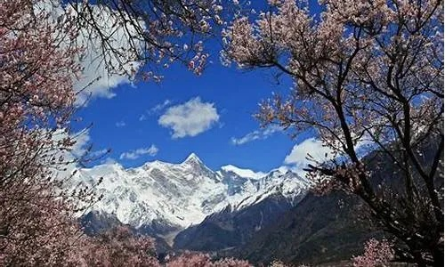 林芝天气预报15天查询，高原气候的精准指南与出行建议