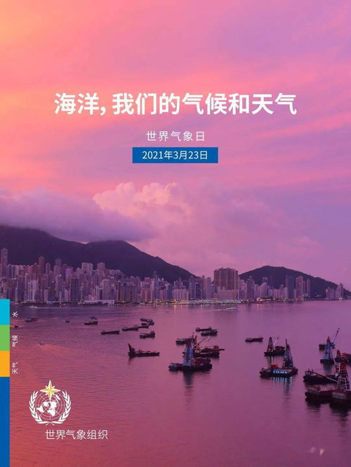 西安十日天气观察，古城在春与夏的边缘试探