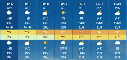 石家庄15天天气预报，科学预测助你从容应对生活