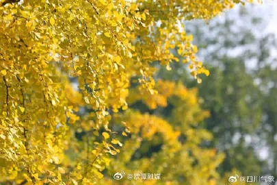 广安天气，四季流转间的川东诗意