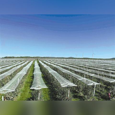 淳化天气预报，一座黄土高原小城的四季物语与生活智慧