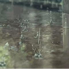 浦东天气，一座新城的呼吸与心跳