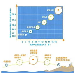 一张图读懂台风动向，台风路径动态图如何守护我们的安全