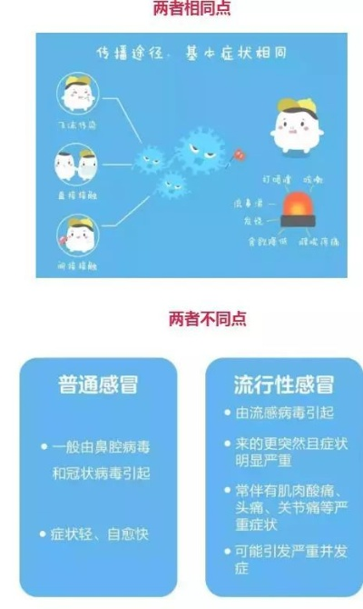 流感用什么药最好？科学选药指南，助你快速康复
