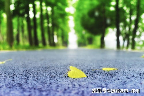 浙江下周天气大反转,从初夏秒回深秋,冷空气携风雨来袭 浙江下周天气大反转,从初夏秒回深秋,冷空气携风雨来袭