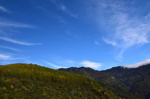 寿宁天气，云中山城的四季诗篇