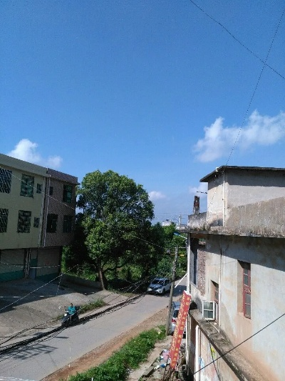 信丰天气预报，一份生活指南，一份故土情怀