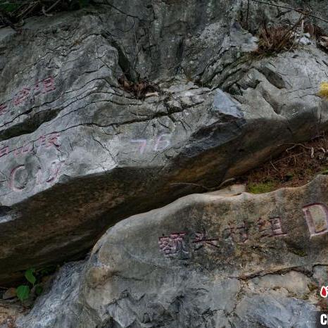 广西阳朔天气预报15天,出行前必看的旅行指南 广西阳朔天气预报15天,出行前必看的旅行指南