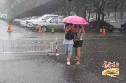 明日起大暴雨预警,一场天空破洞前的生存指南 明日起大暴雨预警,一场天空破洞前的生存指南