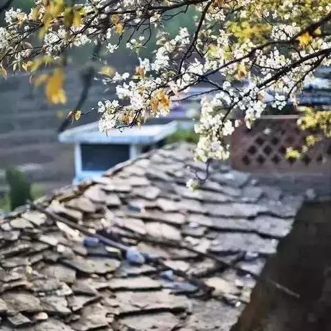 林州市天气预报，二十四节气里的山川呼吸
