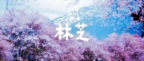 南安春日天气突变，上演变奏曲