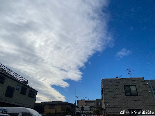 四十天的晴雨账本，我如何在本地天气的褶皱里，重新辨认生活的模样