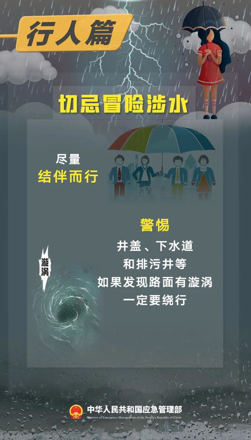 精准掌控风云变幻—Windy气象软件App下载指南与深度体验