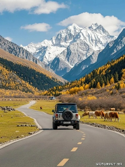 四川旅游，一场穿越山川与人文的极致体验